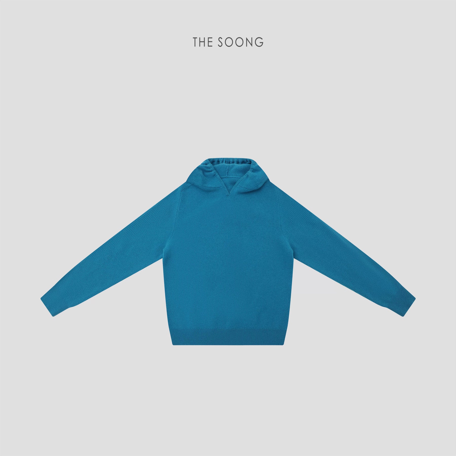 THESOONG/Warm Feel Hoodie Autumn/Winter 100% Sheep Wool Delicate Warm Textured Hooded Sweater for Women 8236