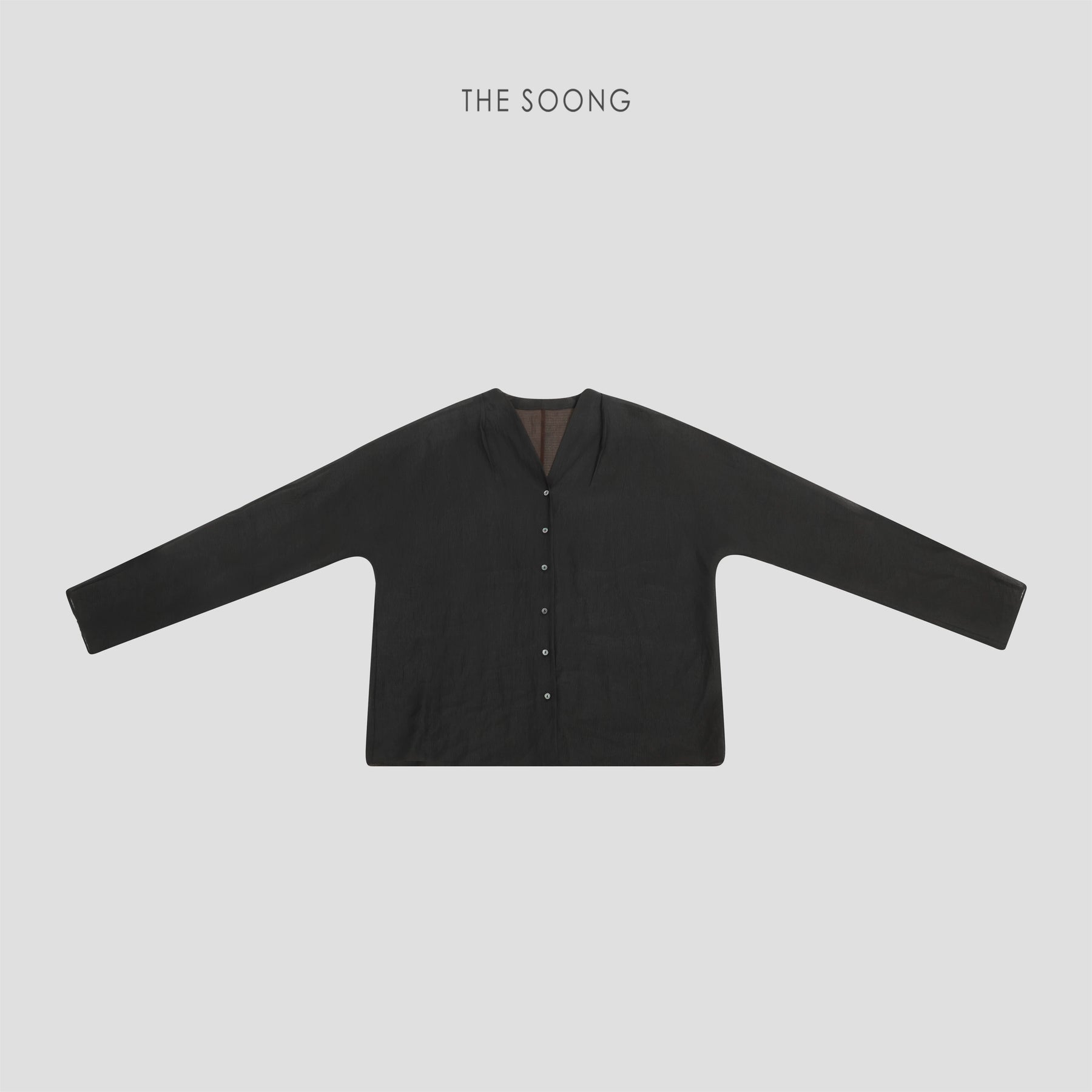 THESOONG / 100% mulberry silk long-sleeve shirt for women, slightly sheer, sexy, slim-fitting V-neck top HWCS8665