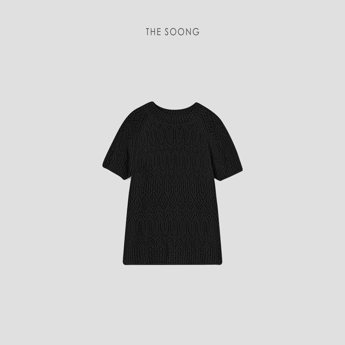 THESOONG/Lace and Paper Shirt Classic Interpretation Hollow-Stitch Structured Round Neck Thin Short Sleeve T-Shirt Top 6895